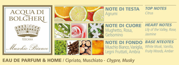 Dr. Taffi ACQUA DI BOLGHERI WHITE MUSK PERFUME, Medium size 1.69 oz
