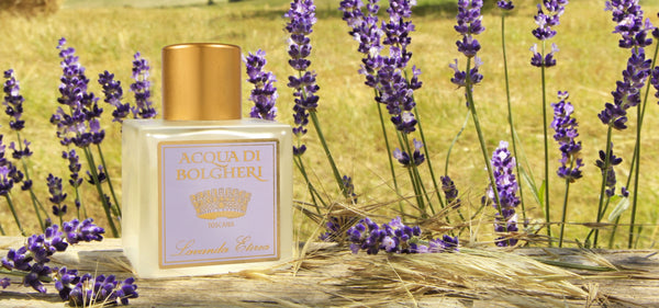 Dr. Taffi ACQUA DI BOLGHERI ETHEREAL LAVENDER COLOGNE