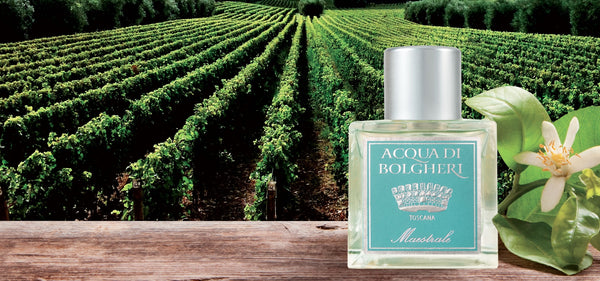 Dr. Taffi ACQUA DI BOLGHERI MAESTRALE (MISTRAL), Medium size 1.69 oz
