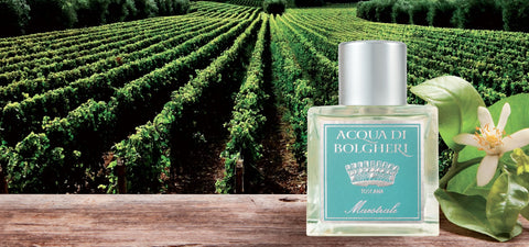 Dr. Taffi ACQUA DI BOLGHERI MAESTRALE (MISTRAL), Medium size 1.69 oz